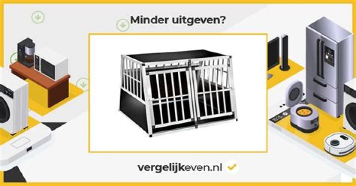 House of Zwide Today Full Episode (17 August 2023) Written Updates