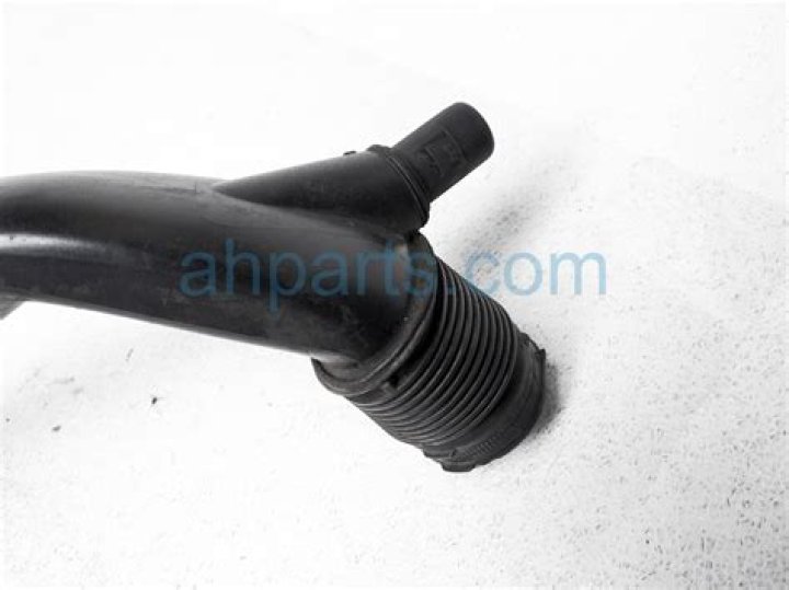 Is Brian Murphy Found Yet? Vancouver Missing Update 2023 - News