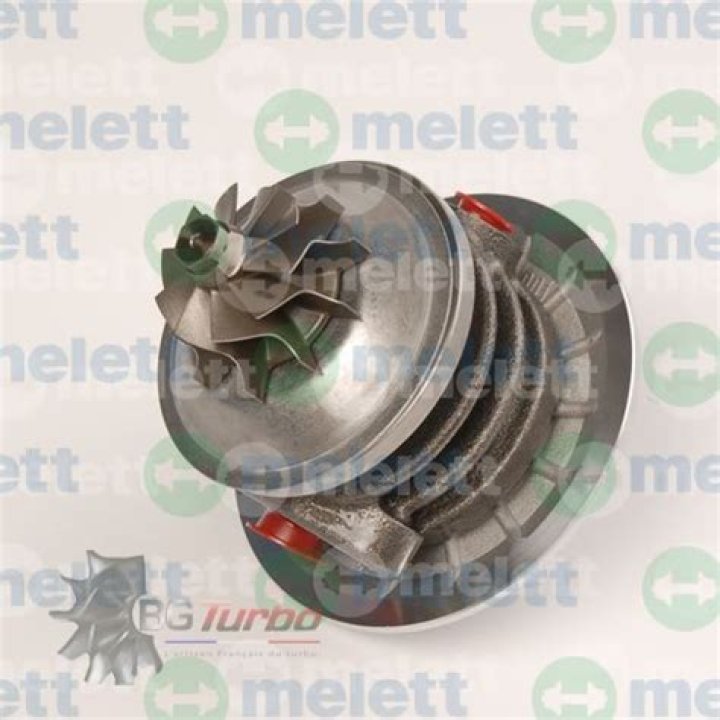 Jimmy Buffett's Cause of Death : Revealed as Merkel Cell Skin Cancer - SarkariResult