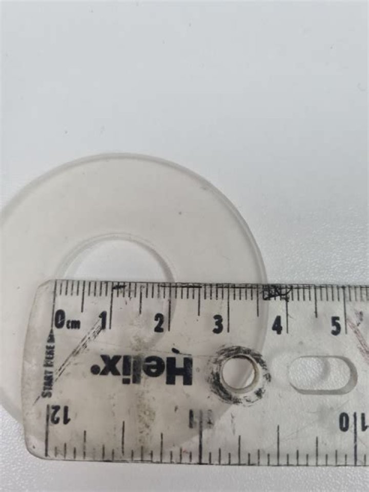 Who Provides the Voice for Scuttle in Disney's New The Little Mermaid (2023)? - SarkariResult