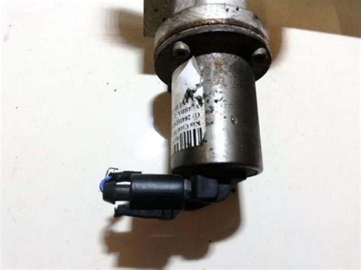 Pensacola Beach's Mako Shark: Fact or Fiction? - SarkariResult