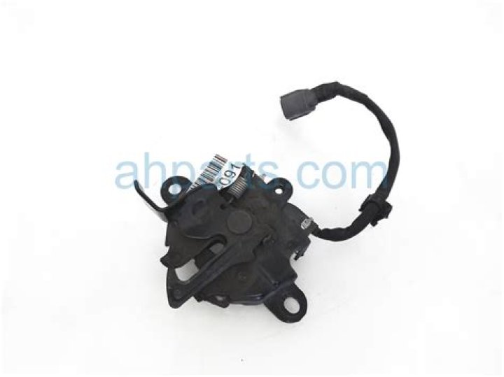 Cody Gakpo Injury News : What Happened To Cody Gakpo? - SarkariResult