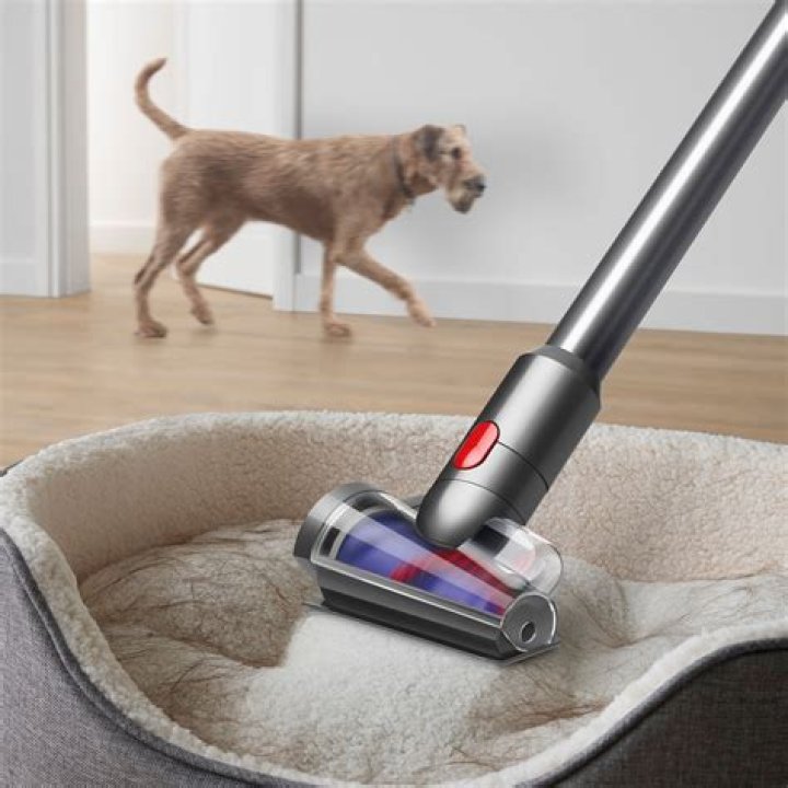 Is Shivon Zilis' Ethnicity Diverse? Exploring the Background of Elon Musk's Advisor - SarkariResult