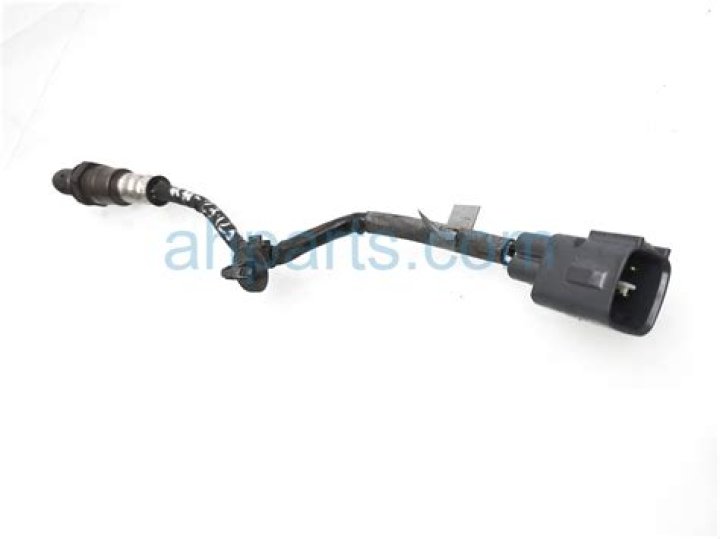 Ali Larter Net Worth: Details About Bf, Career, Film, Income, Assets, Age - SarkariResult