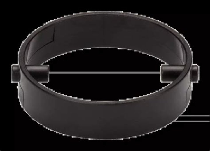 Sean Whalen Net Worth: Details About Wife, TV, Movies, Shows, Wiki, Age - SarkariResult