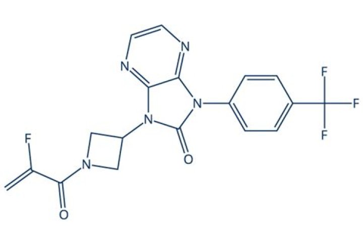 Lindsay Hubbard's Wealth: How Did the 'Summer House' Star Amass More Than $1.1 Million? - SarkariResult