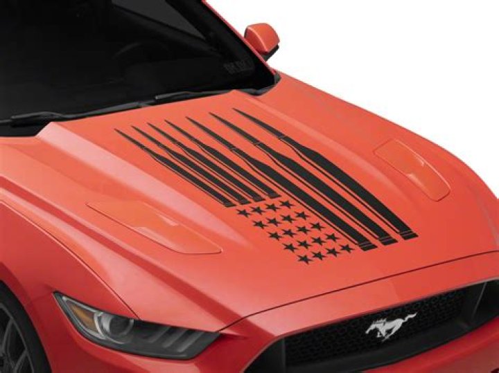 Nancy Mace: A Congresswoman's Dynamic Journey, Military Service, and Personal Life - SarkariResult