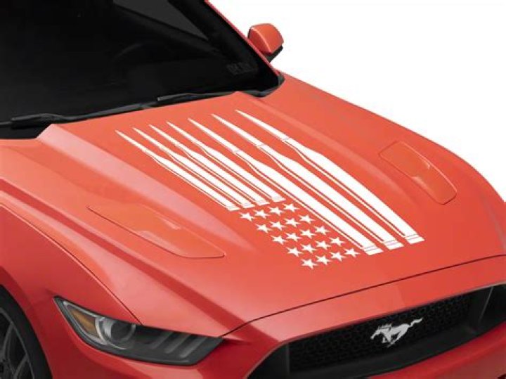 Lindsey Wixson Net Worth: Details About Modeling, Income, Bf, Age, Career - SarkariResult