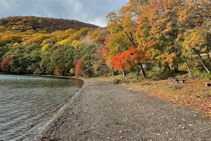 Scoot Henderson Net Worth: Details About NBA, Earnings, Gf, Age, Career - SarkariResult