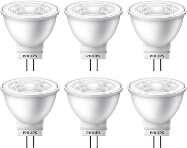 Belinda Carlisle Net Worth: Details About Husband, Child, Songs, Young - SarkariResult