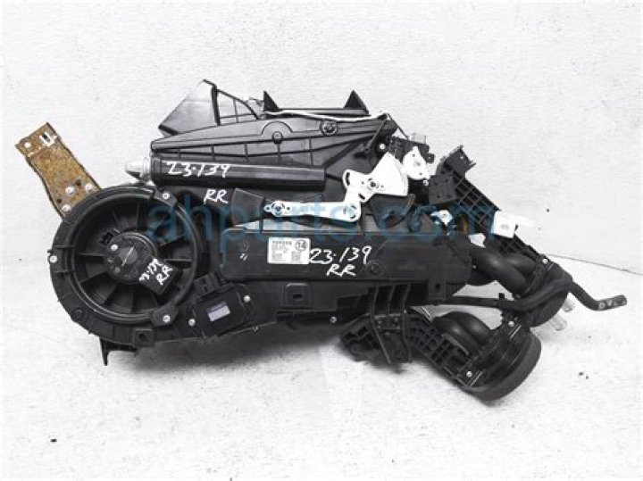 Shantel VanSanten Net Worth: Details About Bf, Income, Movie, Career - SarkariResult