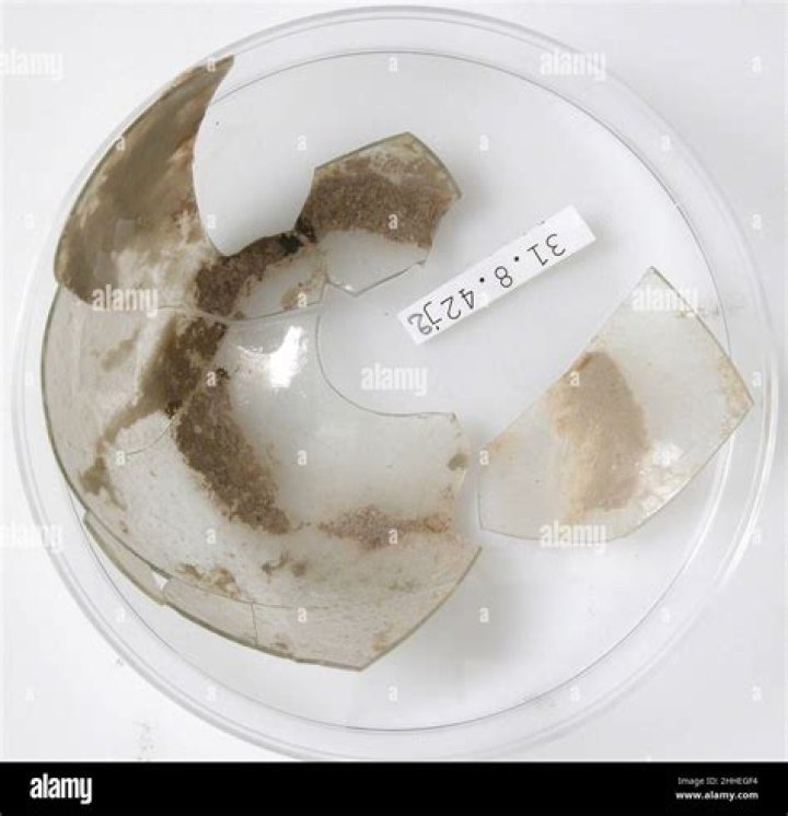 Zonnique Pullins Video Viral, Onlyfans Star Clip - SarkariResult