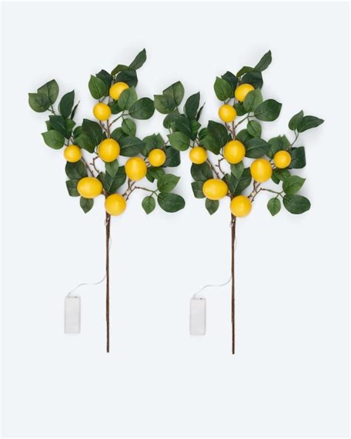 Anupama Today Full Episode 30th October 2023 Written Update - SarkariResult