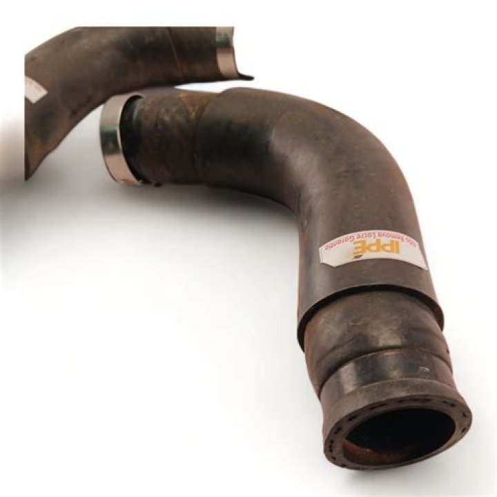 Gracie Harris Obituary & Cause Of Death : How Did Gracie Harris Die? - SarkariResult