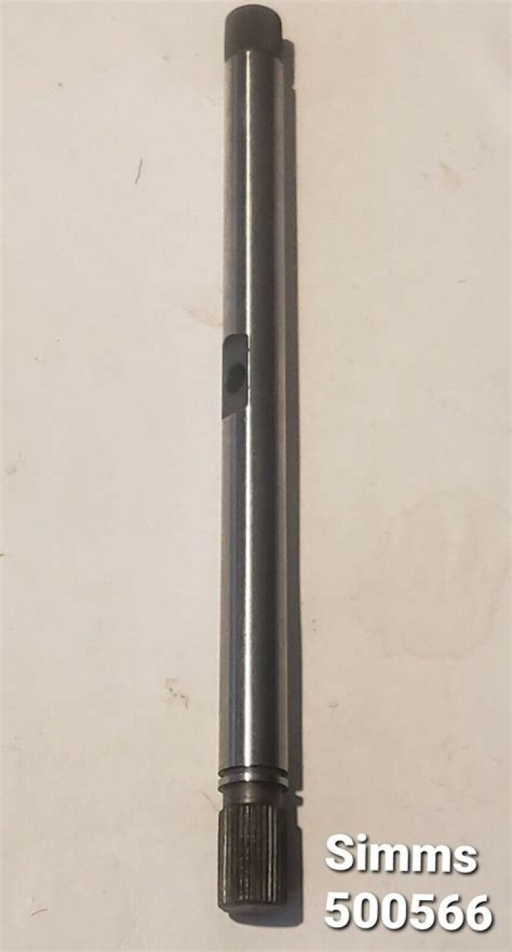 Whitney Way Thore's Journey in Switzerland: Exploring What Happened and Who She Is - SarkariResult