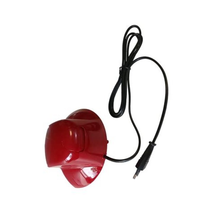 Who Is Rafsan Sabab’s Wife? Bangladeshi Host Married Life Update - SarkariResult