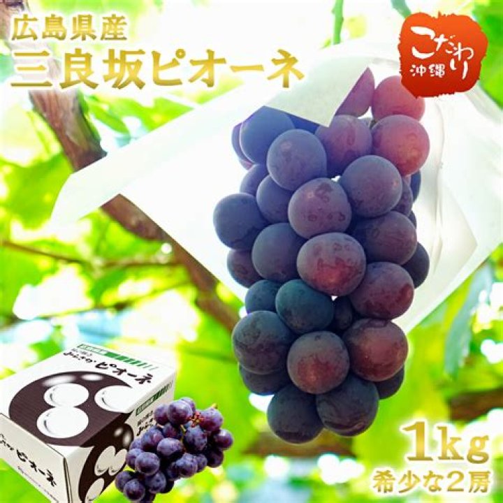 Good Night World season 2 Release Date : Recap, Cast, Review, Spoilers, Streaming, Schedule & Where To Watch? - SarkariResult