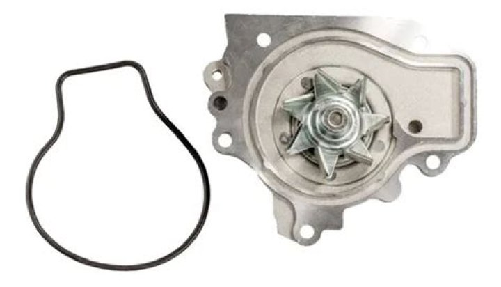 How To Fix Whatsapp Poll Not Showing? - SarkariResult