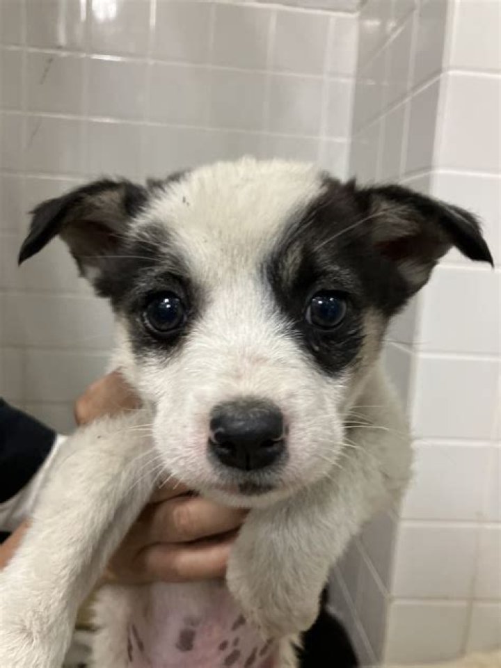 BIG NEWS! Home Town Season 3 Release Date : Recap, Cast, Review, Spoilers, Streaming, Schedule & Where To Watch? - SarkariResult