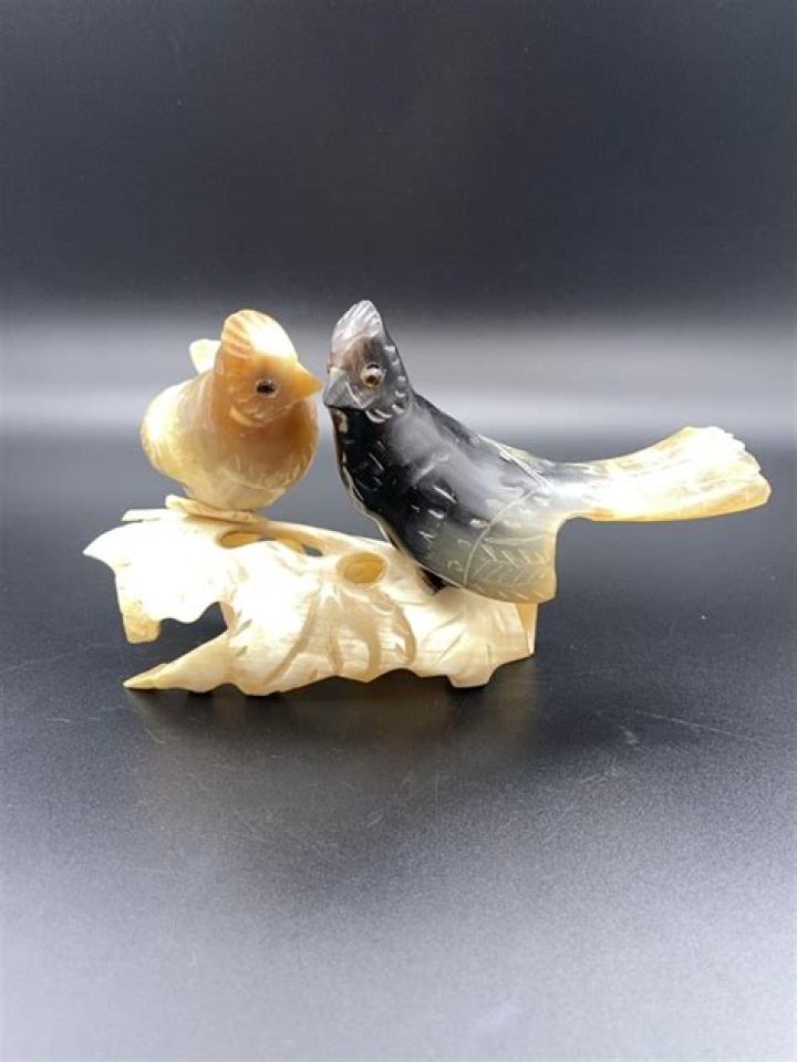 John Craven's parents were Willie Craven and Marie Noble. - SarkariResult