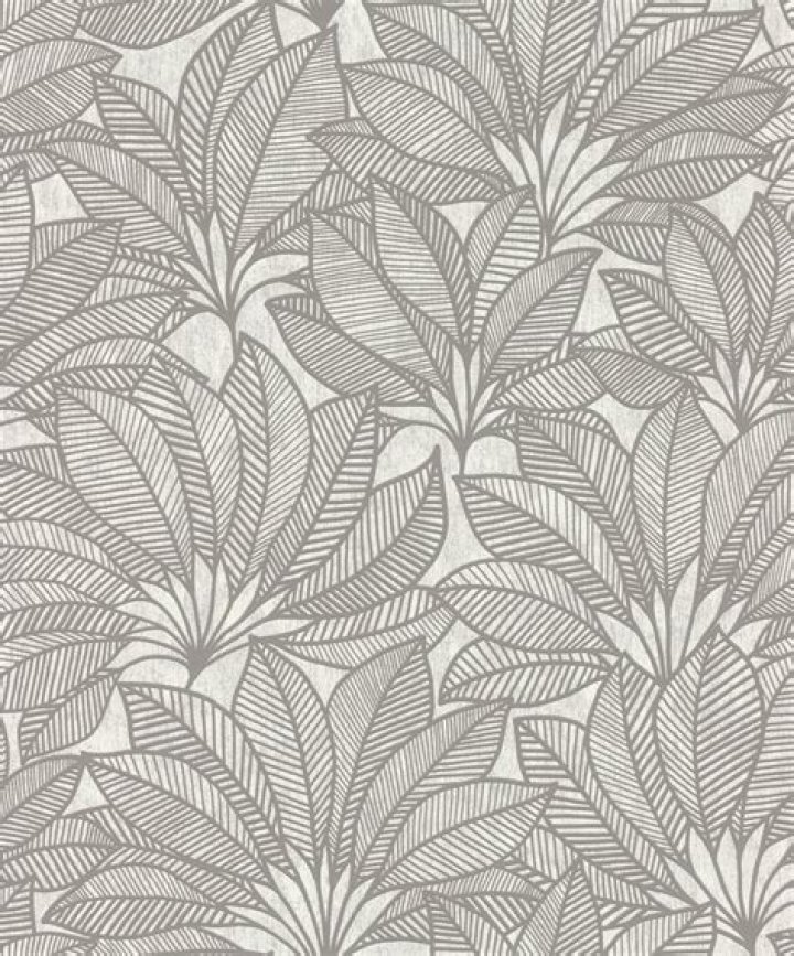 David Siegel Net Worth: Career, Home, Age, Income, All You Need to Know - SarkariResult