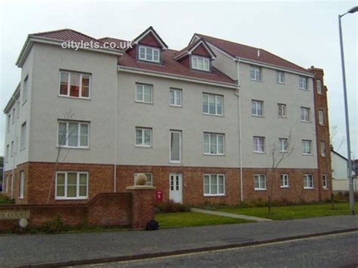 Weepinbell Evolution in Pokemon Scarlet and Violet: Step-by-Step - SarkariResult