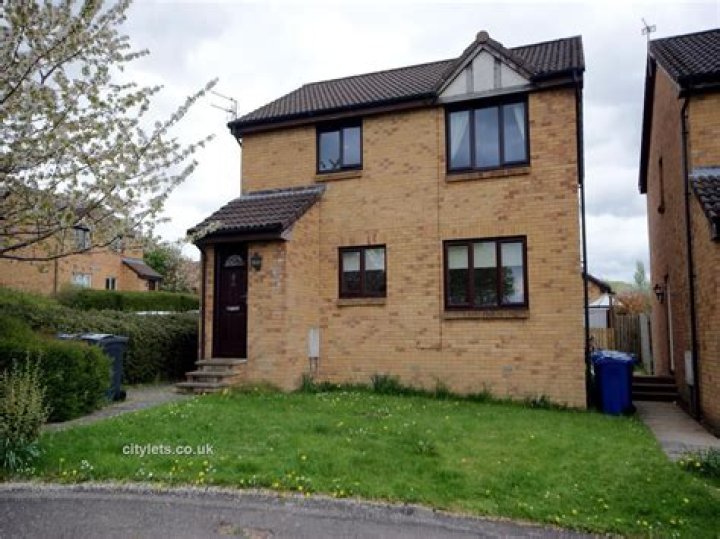 Overcooked 2: Cross-Platform Compatibility Clarified - SarkariResult