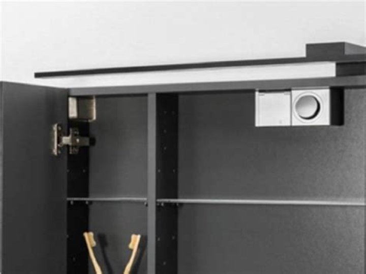 Sara White Ethnicity : Reggie White Wife, Death, Net Worth, Age, Wiki, Height - SarkariResult