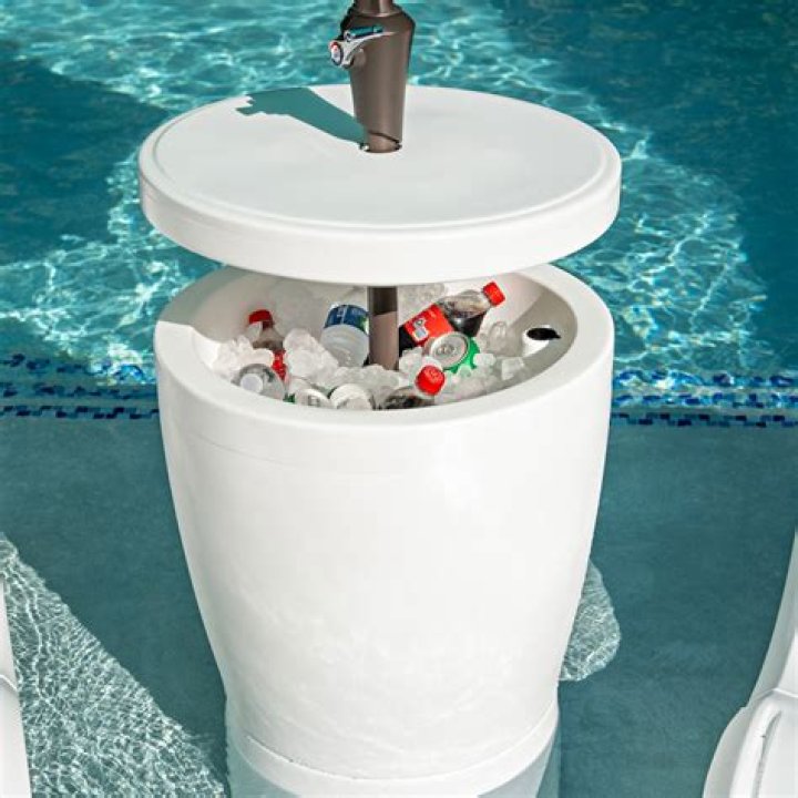 Has the previous Miss Bolivia been arrested? What led to Miss Bolivia's arrest? What actions did Miss Bolivia take that resulted in her arrest? - SarkariResult