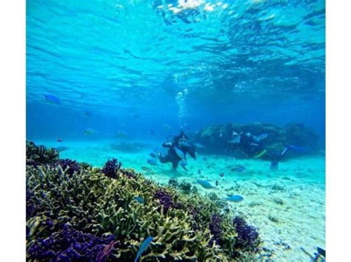 Sergio García Net Worth: Career, Home, Age, Income, All You Need to Know - SarkariResult