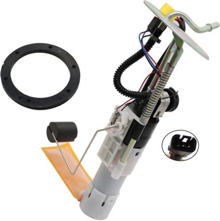 Thomas Haden Church Net Worth: Career, Home, Age, Income, All You Need to Know - SarkariResult