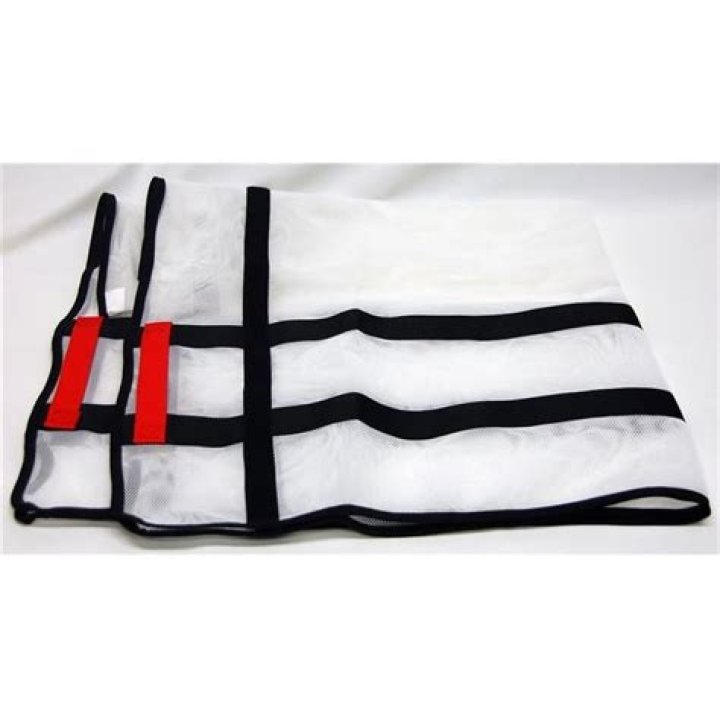 David Concha Net Worth: Career, Home, Age, Income, All You Need to Know - SarkariResult