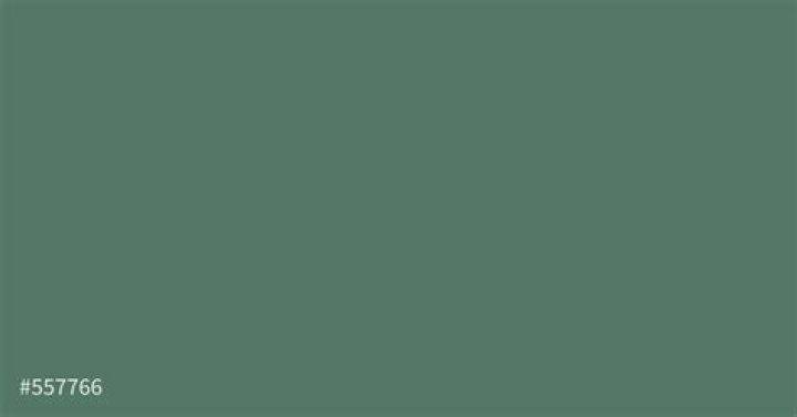 The current ages of the Spice Girls, the count of Spice Girls members, and the date of the Spice Girls' 30th anniversary. - SarkariResult