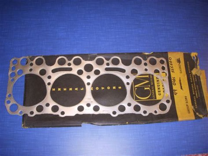 Shandi from ANTM: Discovering Her Current Whereabouts and What Happened to Her? - SarkariResult