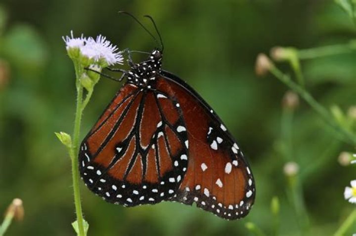 Upload Season 4 Release Date, Recap, Review, Spoilers, Streaming, Schedule & Where To Watch? - SarkariResult