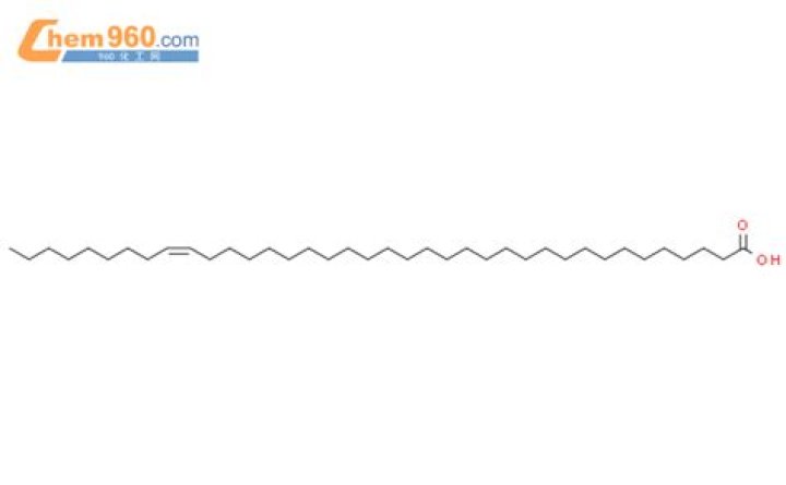 Motocross Danielle Gray Death Cause And Obituary Linked To Accident, How Did Danielle Gray Died? - SarkariResult