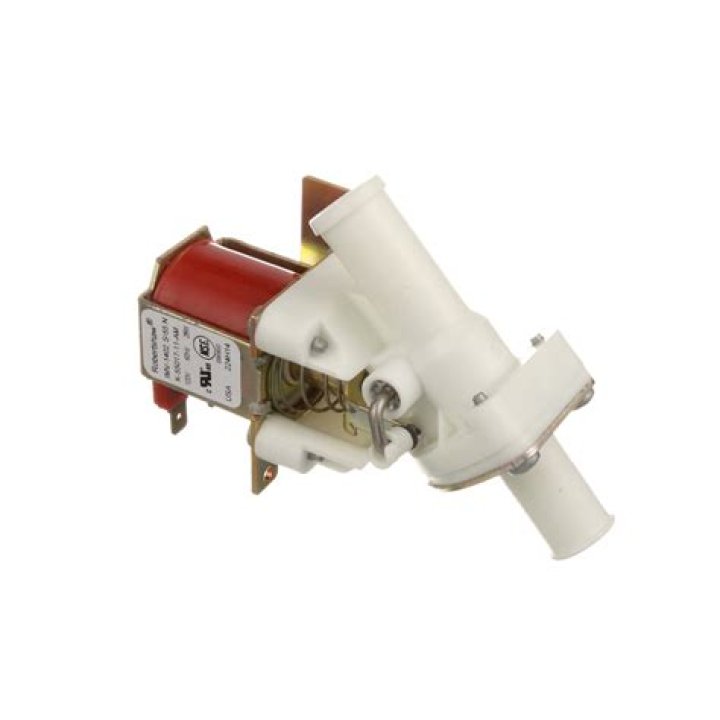 What's Up with Zion Williamson? Why Isn't Zion Williamson Playing Tonight? - SarkariResult