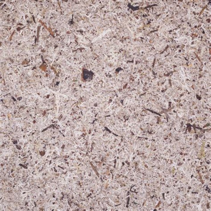 How to Fix / Solve TEKKEN 8 Out Of Video Memory Error - SarkariResult