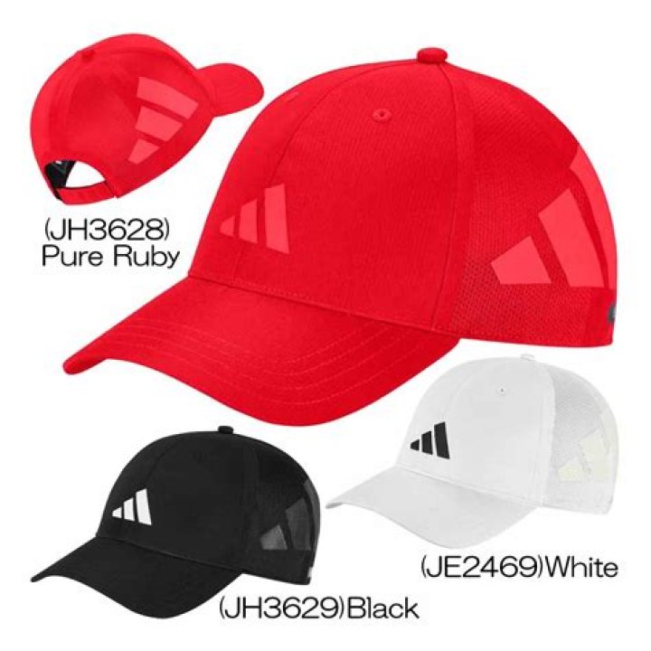 How to Get Rooibos in Enshrouded? - SarkariResult