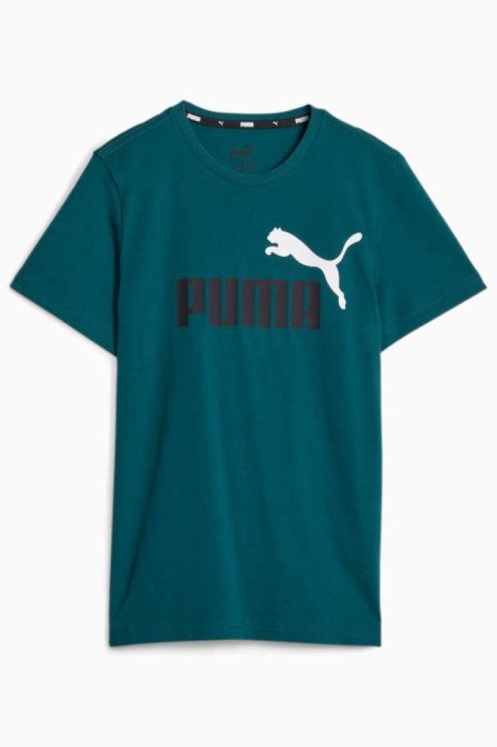 Bihar D.El.Ed Application Form 2024: रजिस्ट्रेशन शुरू, यहाँ भरे फॉर्म