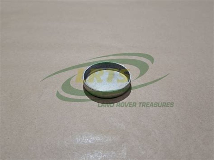 Aslinn Rodas Net Worth: Career, Family, Age, Income, Wiki, Bio, All You Need to Know - SarkariResult