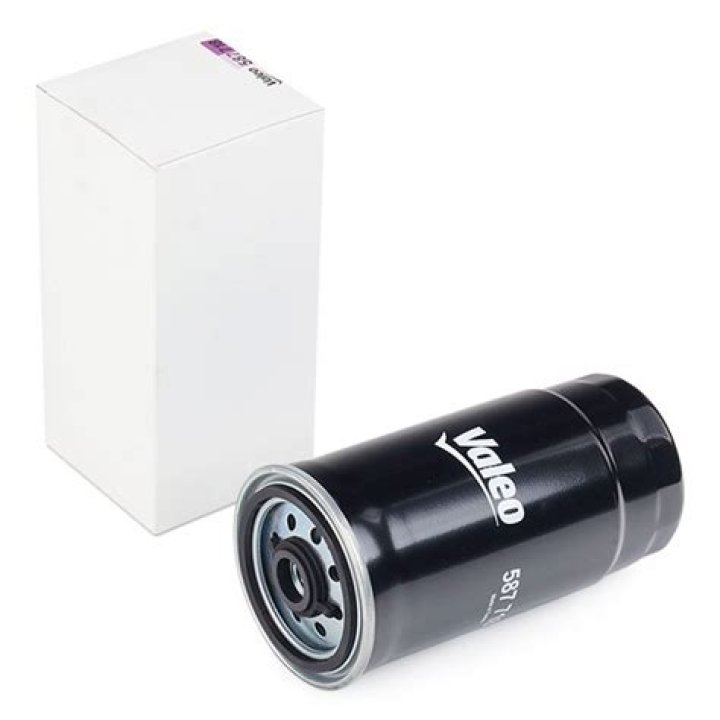 Nicole Polizzi Net Worth: Career, Family, Age, Income, Wiki, Bio, All You Need to Know - SarkariResult