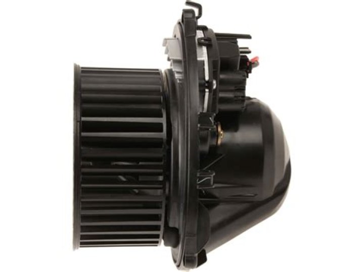 Bosco on Peacock Release Date : Recap, Cast, Review, Plot, Spoilers, Streaming, Schedule & Where To Watch? - SarkariResult