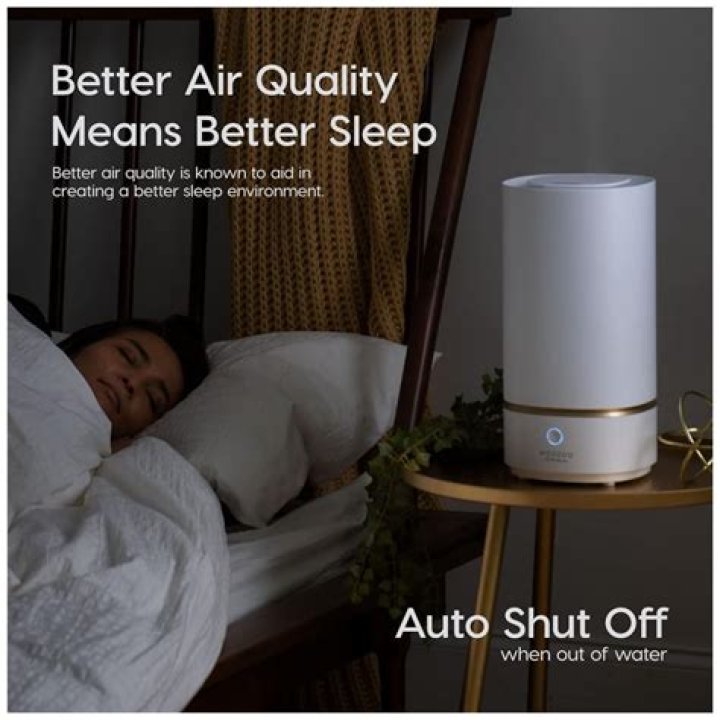 Night By The Sea Chapter 78 Release Date, Recap, Cast, Review, Plot, Spoilers, Streaming, Schedule & Where To Watch? - SarkariResult