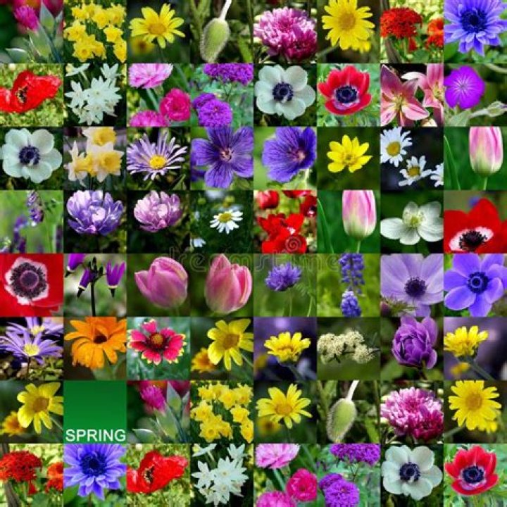 Juan Soto Religion And Ethnicity, Where Is Juan Soto From? - SarkariResult