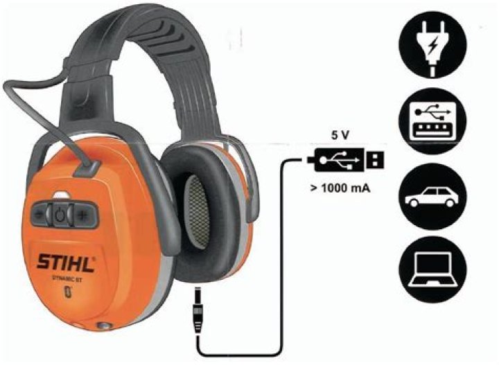 Matheus Cassini Net Worth: Career, Family, Age, Income, Wiki, Bio, All You Need to Know - SarkariResult