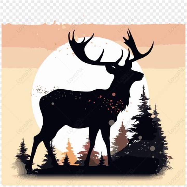 Nah'Shon Hyland Net Worth: Career, Family, Age, Income, Wiki, Bio, All You Need to Know - SarkariResult