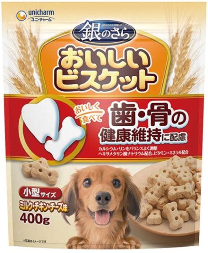 Who is Blaze on General Hospital GH? Who is Jacqueline Grace Lopez? Know All About Her - SarkariResult