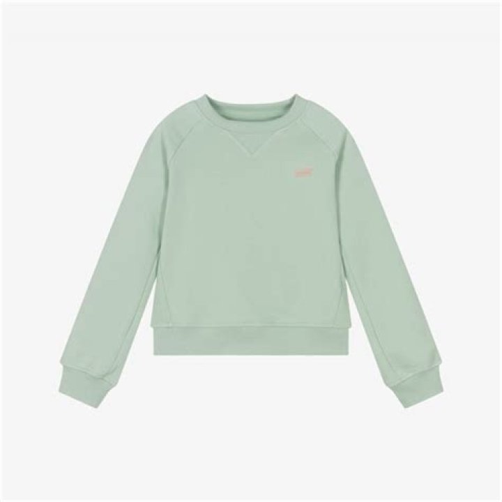 Last Epoch Reveals New Falconer Class - SarkariResult