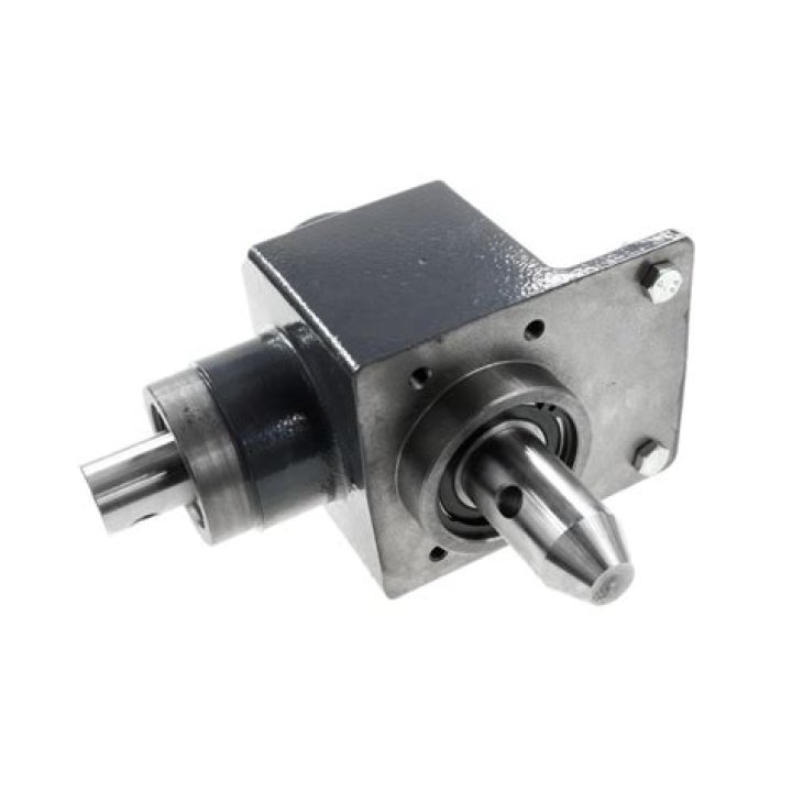 Who is Mashenka Reid? Why she got arrested? What Did Mashenka Reid Do? - SarkariResult